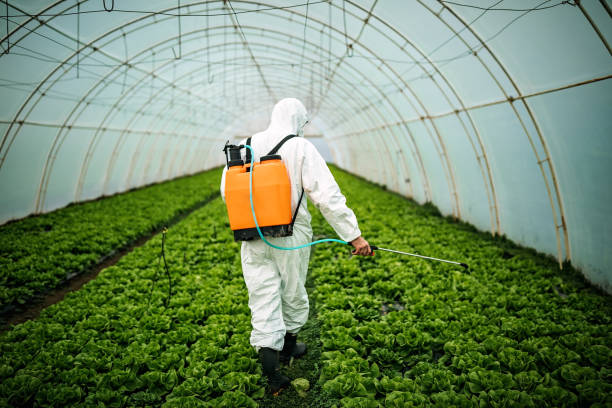 Best Pest Removal Services  in Glenville, WV