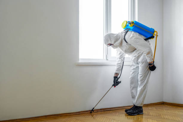 Best Affordable Pest Control Services  in Glenville, WV