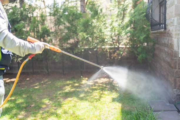 Best Mosquito Control Services  in Glenville, WV