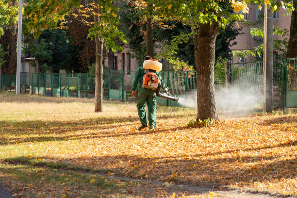 Best Pest Removal Services  in Glenville, WV